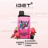 IGET Bar Pro 10000 Puffs Blackberry Pomegranate Cherry