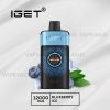 IGET One 12000 Puffs Blueberry Ice