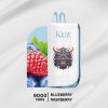KUZ Lux 9000 Puffs Blueberry Raseberry