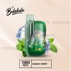 BULUBULU 15000 Puffs Miami Mint
