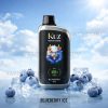 KUZ Nova 16000 Puffs Blueberry Ice 1 KUZ Nova 16000 Puffs Blueberry Ice
