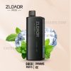 ZLOADR V9000 Dynamic Mint 1 ZLOADR V9000 Dynamic Ice