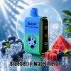 Crystal Mary Pulse 20000 Puffs Blueberry Watermelon 2 Crystal Mary Pulse 20000 Puffs Blueberry Watermelon