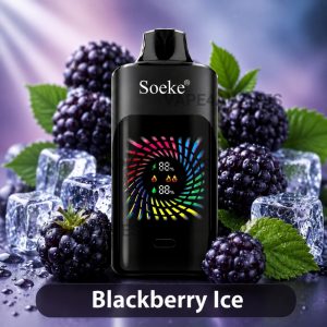 SOEKE S9 28000 Puffs Blackberry Ice